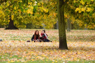 DSC_0591 (Large).JPG